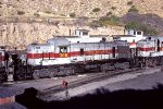 UTAH rsd5 #306 with 301, 302 & ex UP caboose(s)